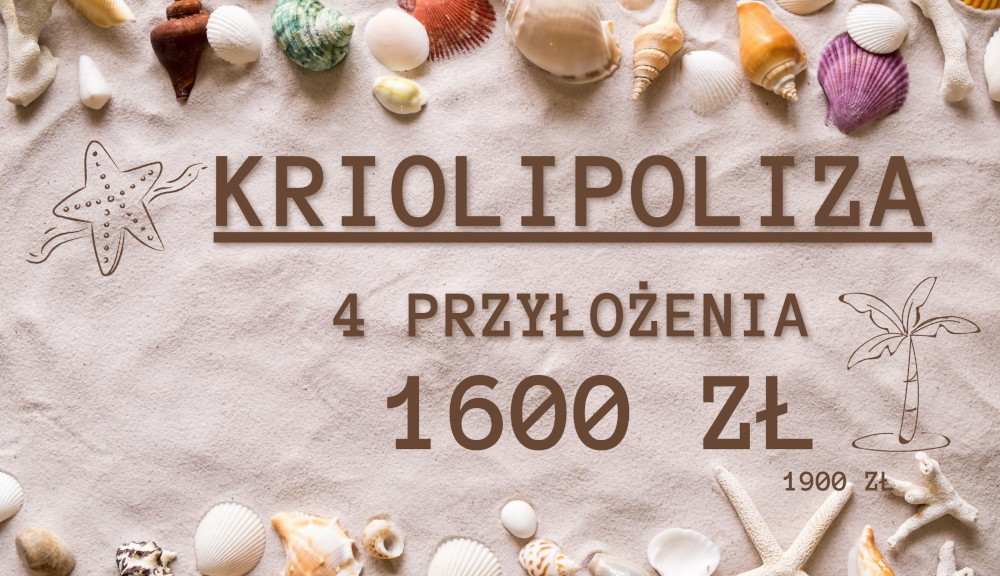 Kriolipoliza FitStudio 4 przylożenia